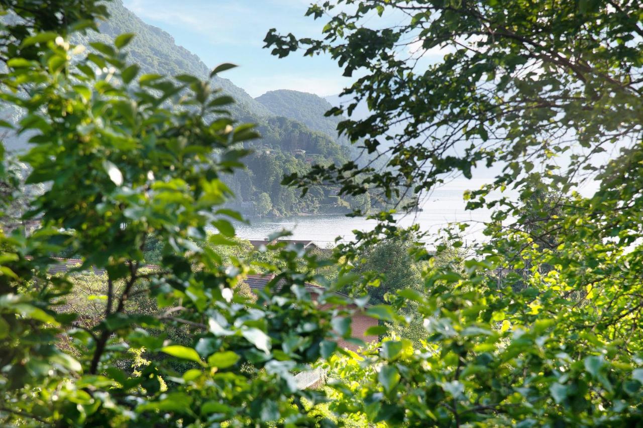 Il Sole Di Calde Lago Maggiore 504 Castelveccana Extérieur photo